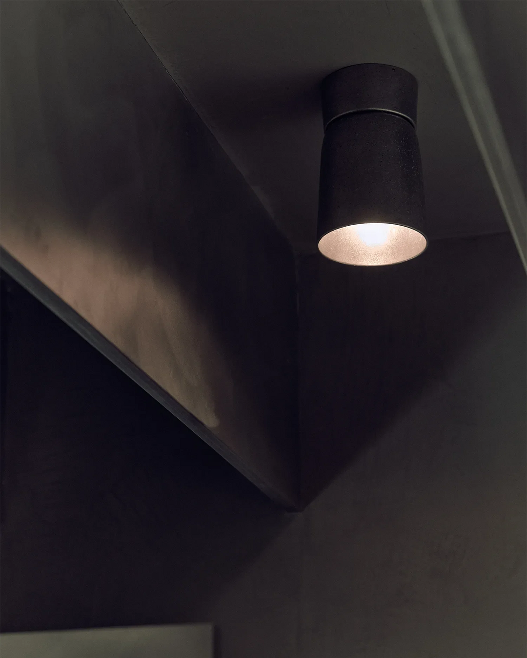 Ceiling Spot Light